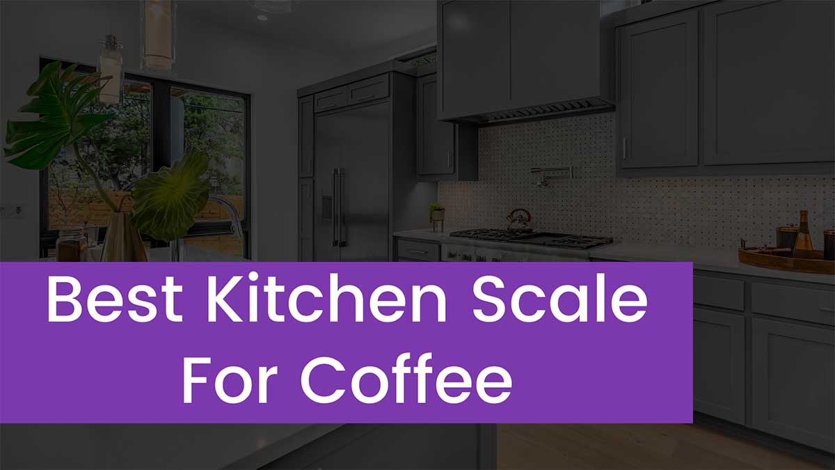 You are currently viewing Top 4 Best Kitchen Scale For Coffee 2023