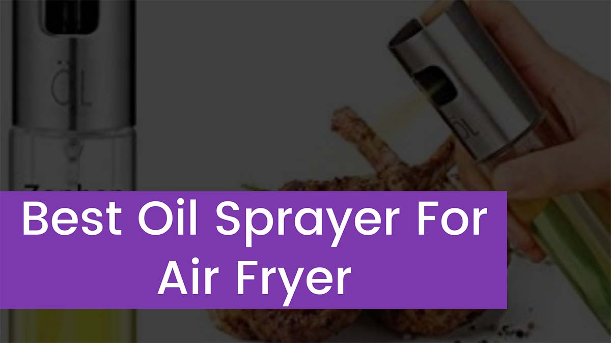 Read more about the article Top 5 Best Oil Sprayer For Air Fryer 2023