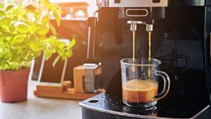 Read more about the article How To Use The Ninja Coffee Maker? [Updated 2023]